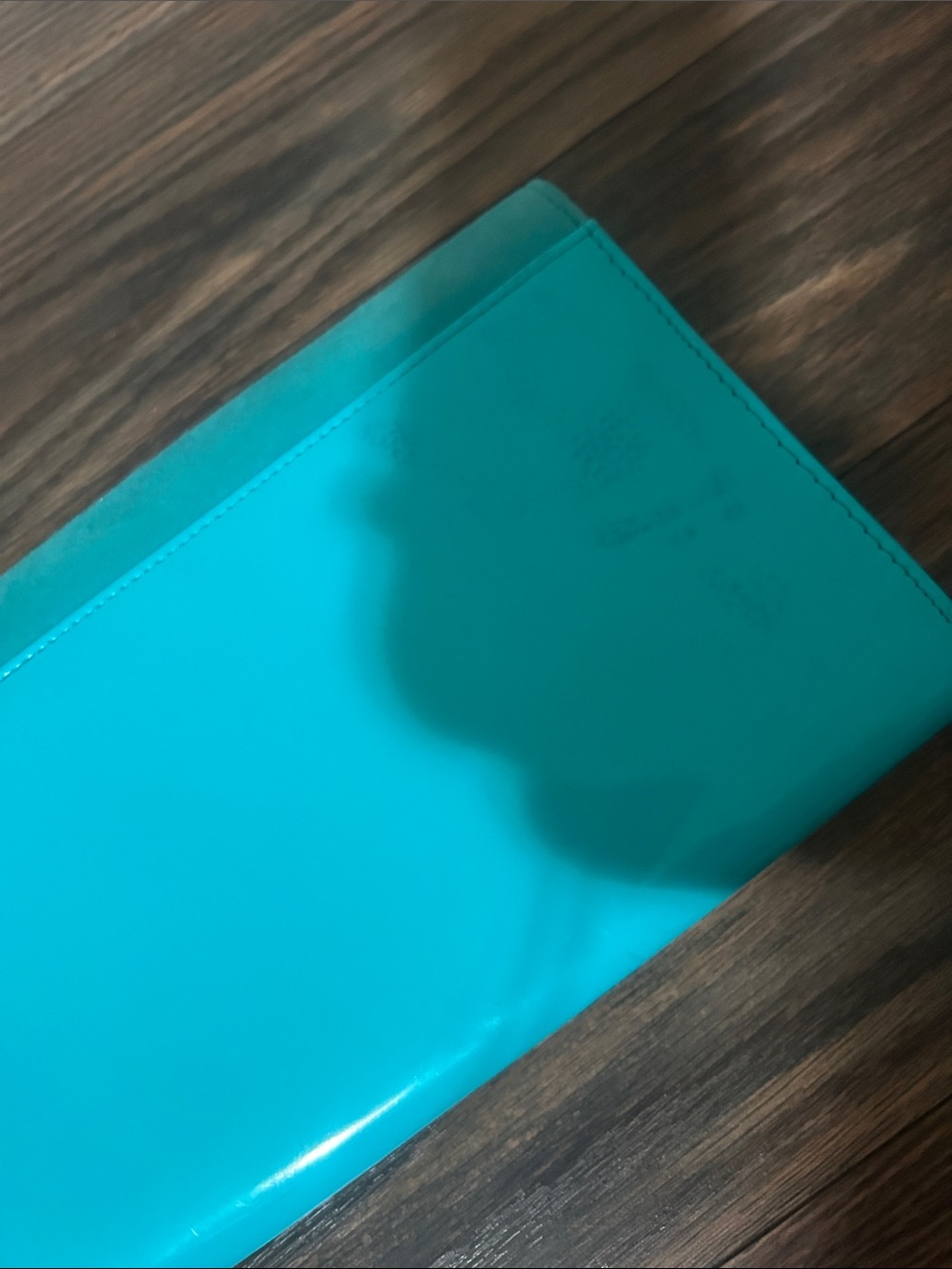 Envelope Clutch Wallet - Aldo - Picture 15 of 16
